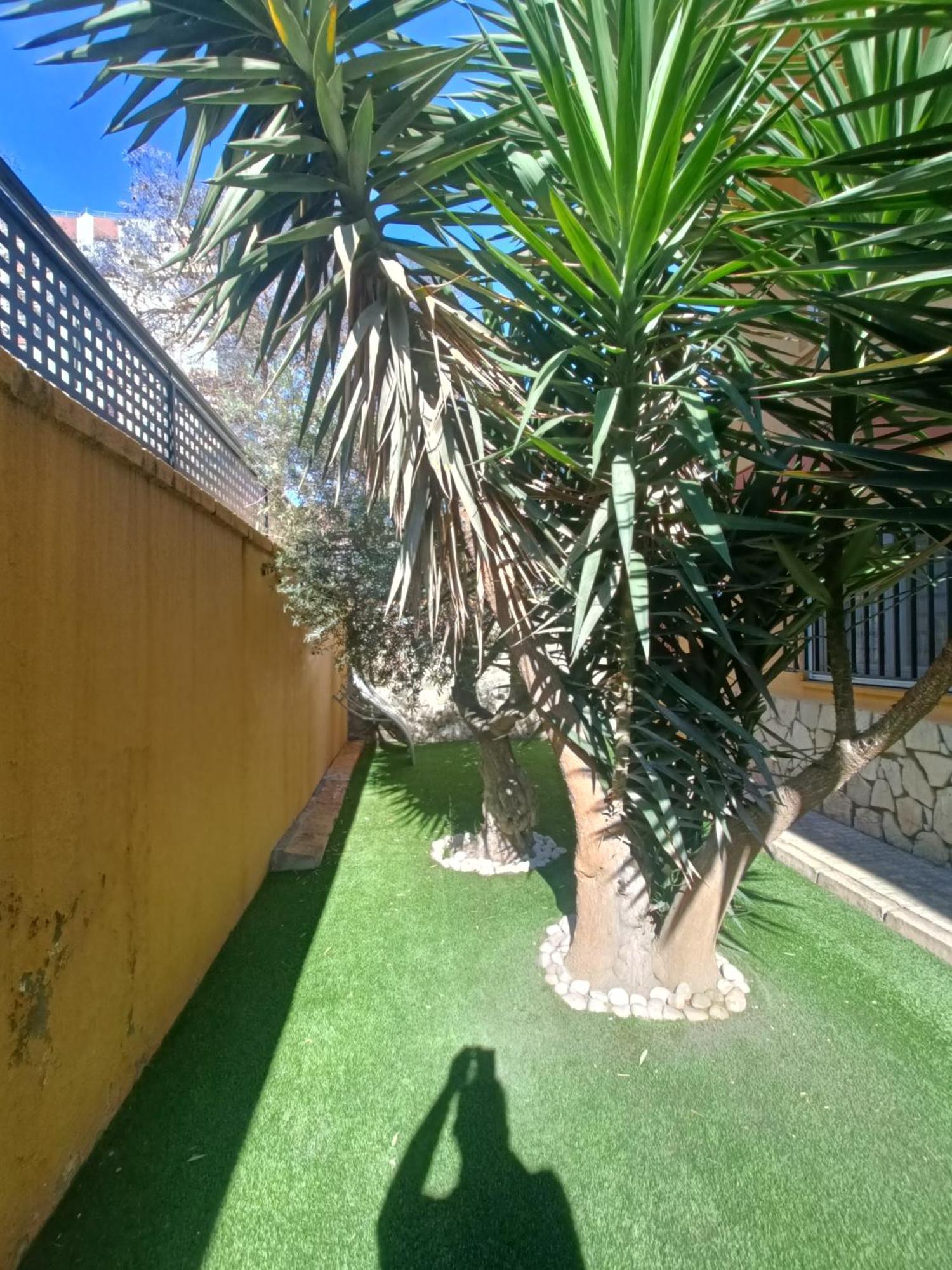 Beach&Garden 말라가 외부 사진